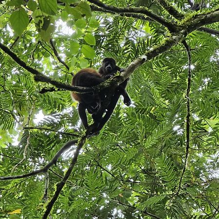 Bewak CR Hotel Tortuguero Bagian luar foto