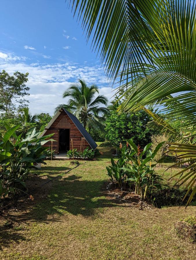 Bewak CR Hotel Tortuguero Bagian luar foto