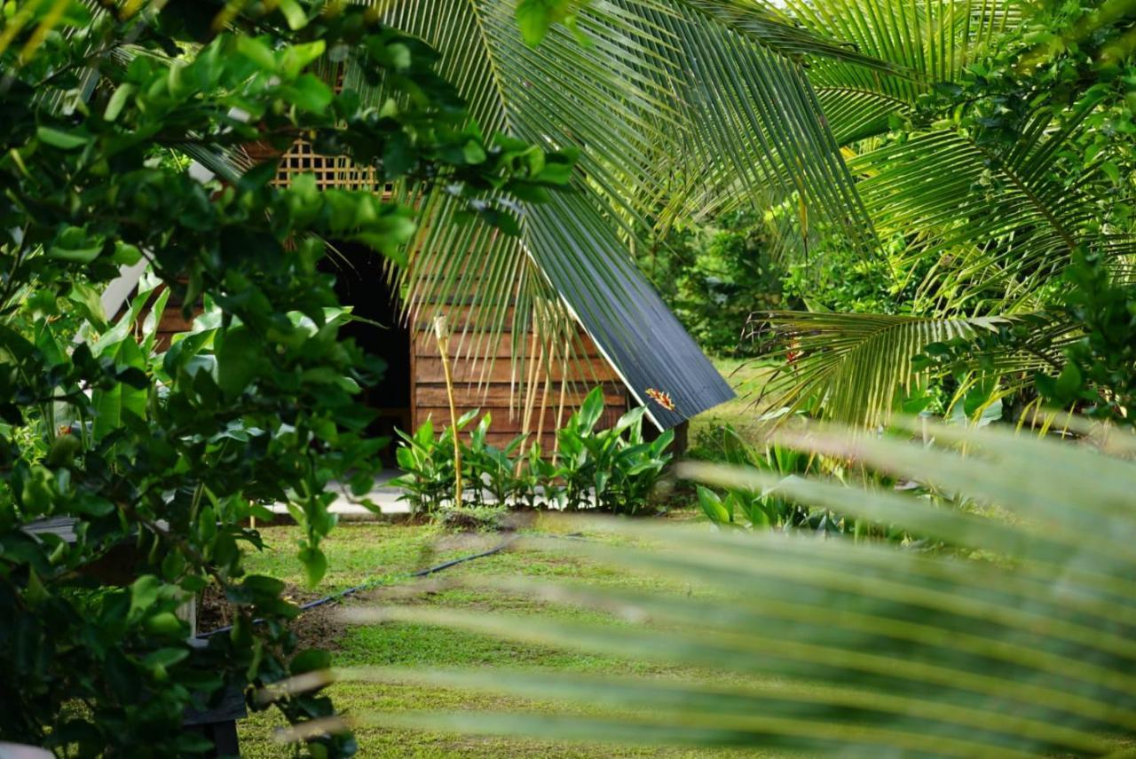 Bewak CR Hotel Tortuguero Bagian luar foto