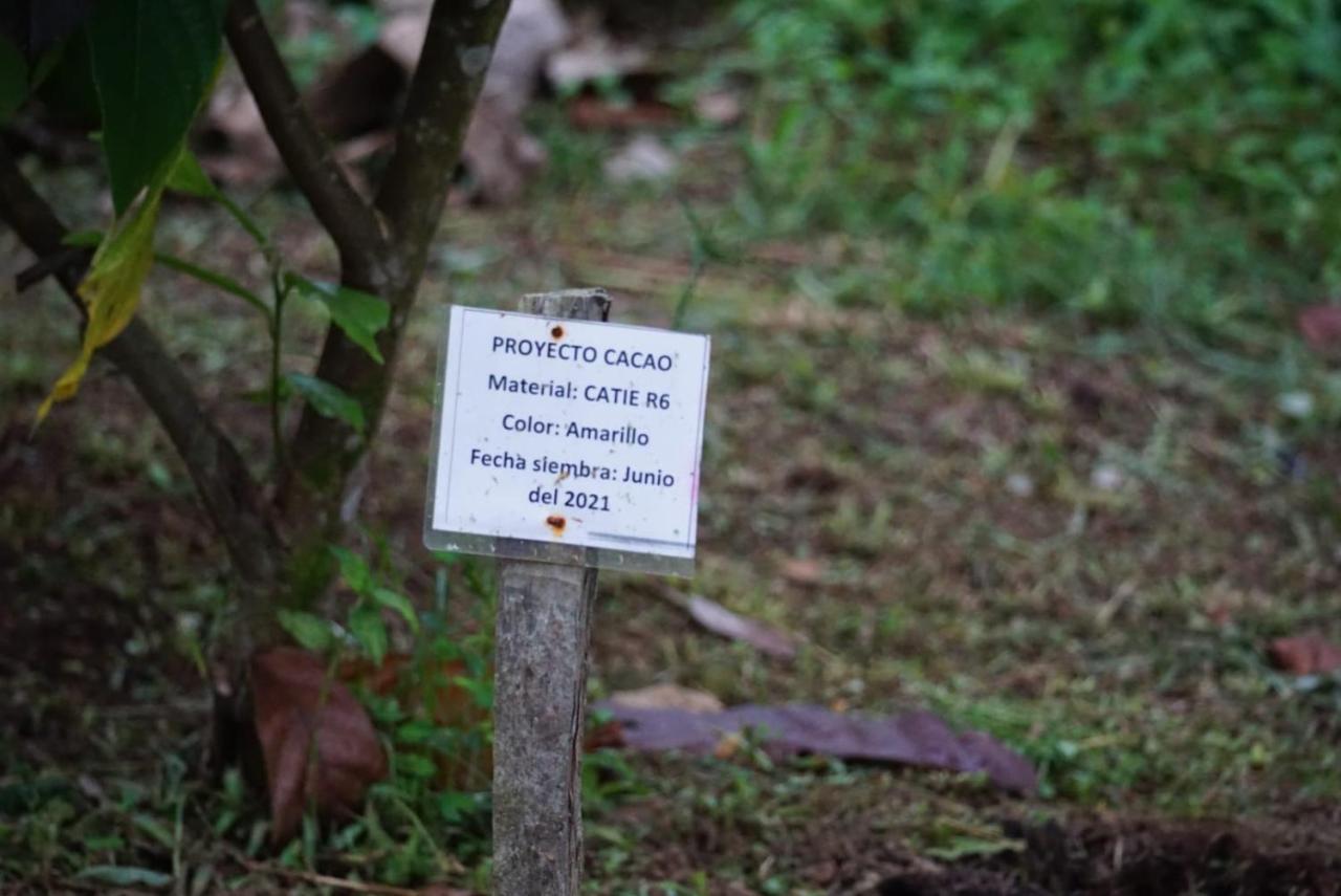Bewak CR Hotel Tortuguero Bagian luar foto