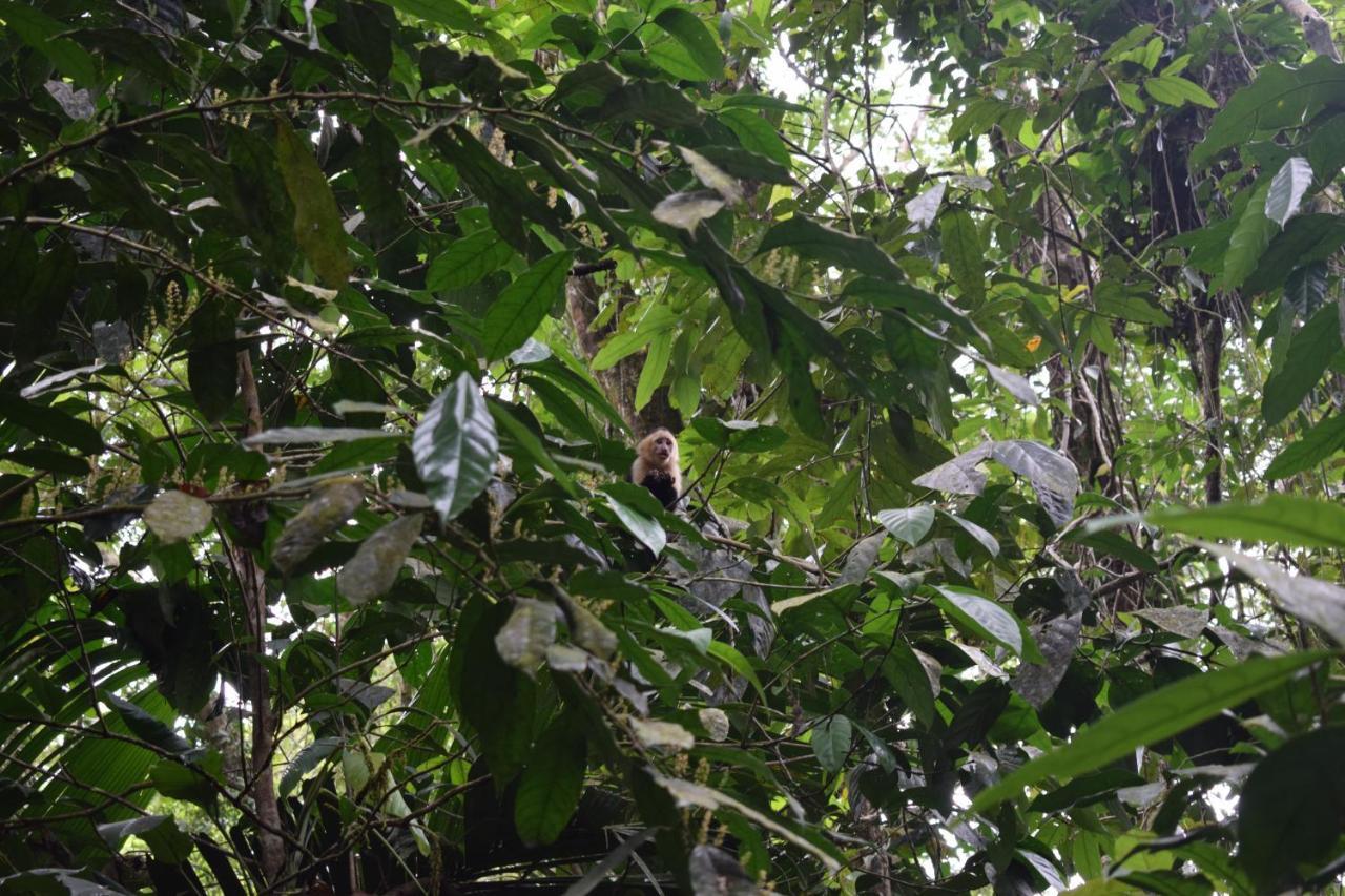 Bewak CR Hotel Tortuguero Bagian luar foto