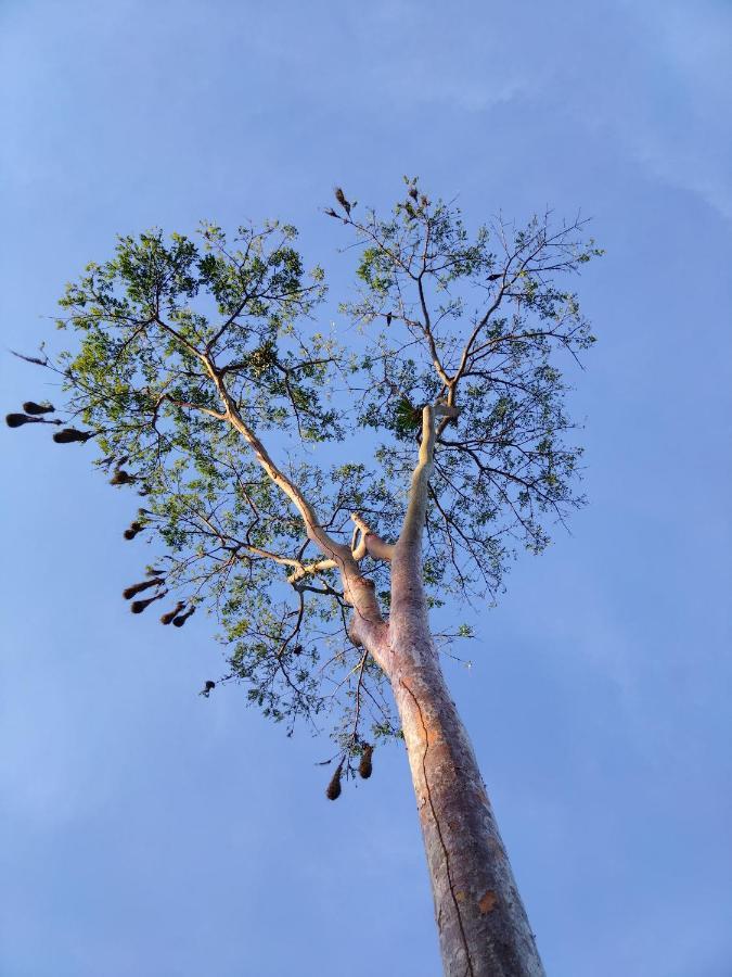 Bewak CR Hotel Tortuguero Bagian luar foto
